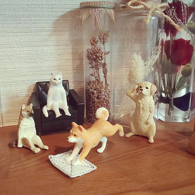実例写真