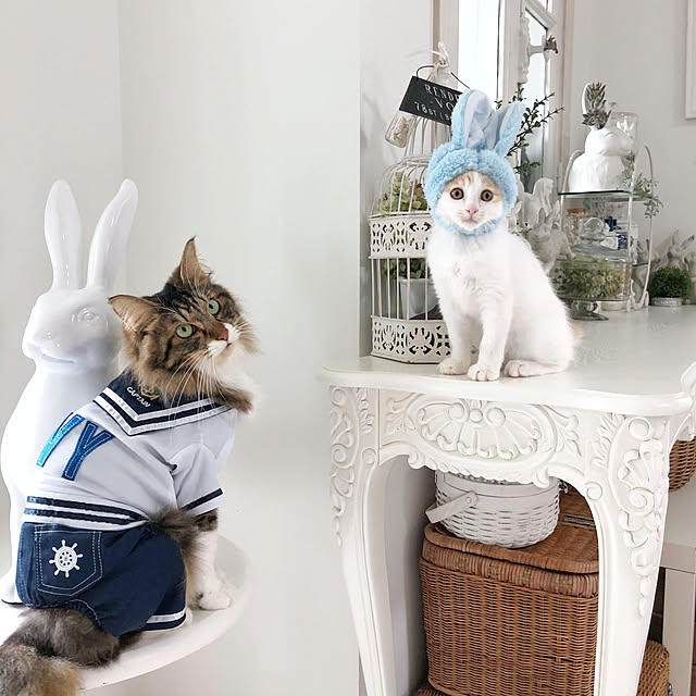 yuchiさんの実例写真