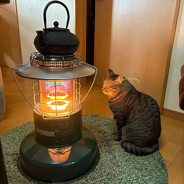 mikan161さんの実例写真