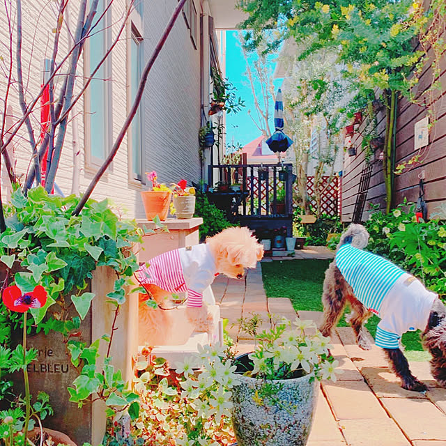 risaさんの実例写真