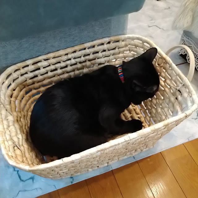 Tさんの実例写真