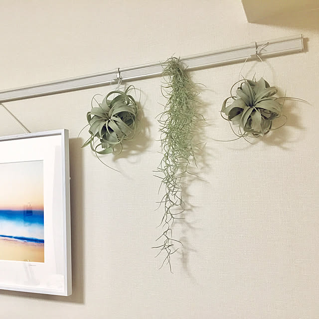 dddf10さんの実例写真