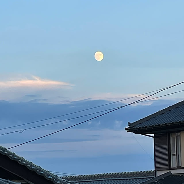 shin0719さんの実例写真