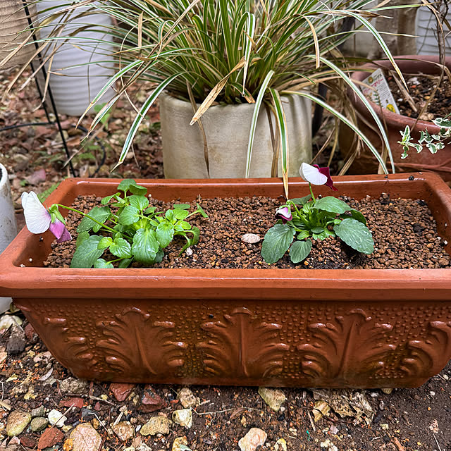 okyosan101さんの部屋