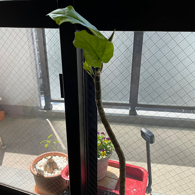 honpoさんの部屋