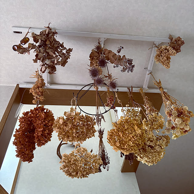 yokoさんの実例写真