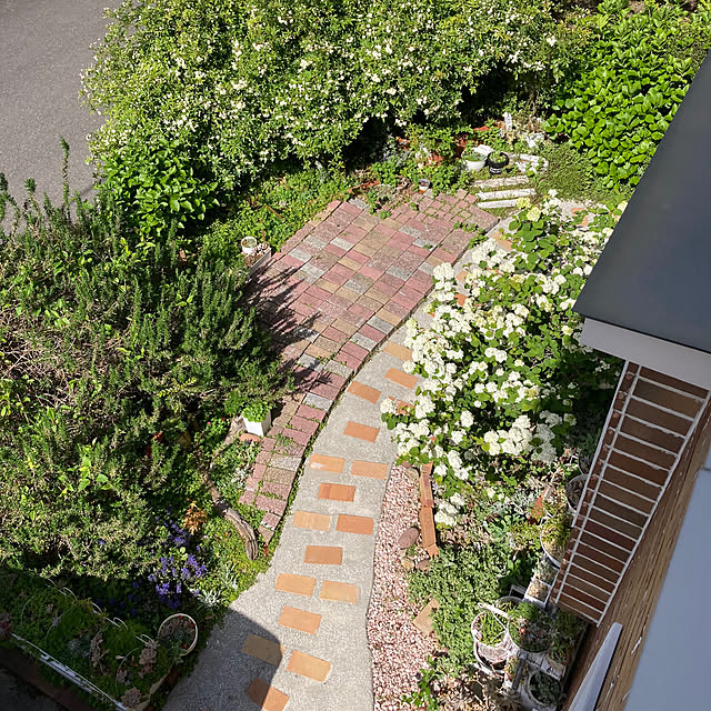 Mimiさんの実例写真