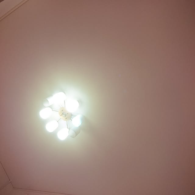 Tamaさんの実例写真