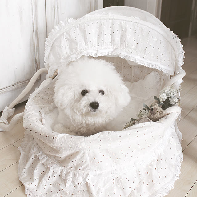 ベッド周り/ふうちゃん/愛犬/ペットと暮らすインテリア/犬と暮らす...などのインテリア実例 - 2018-02-20 06:07:02