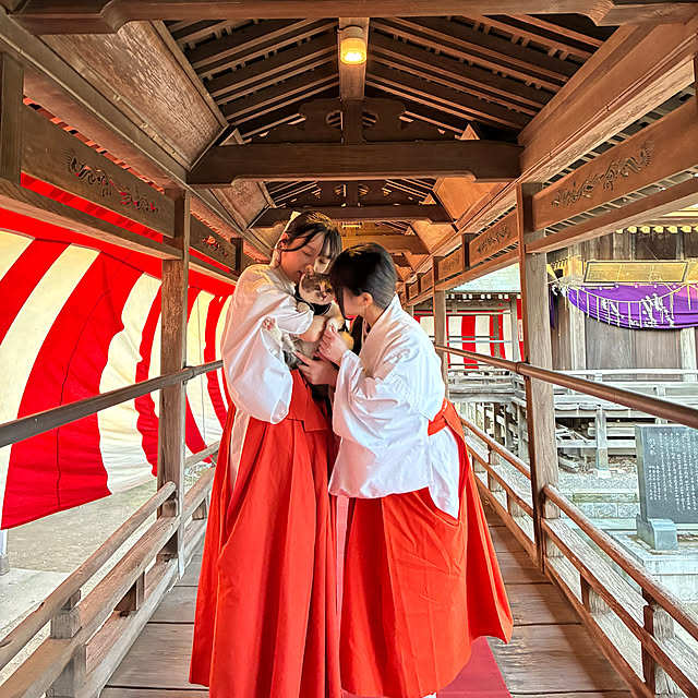 comiriさんの部屋