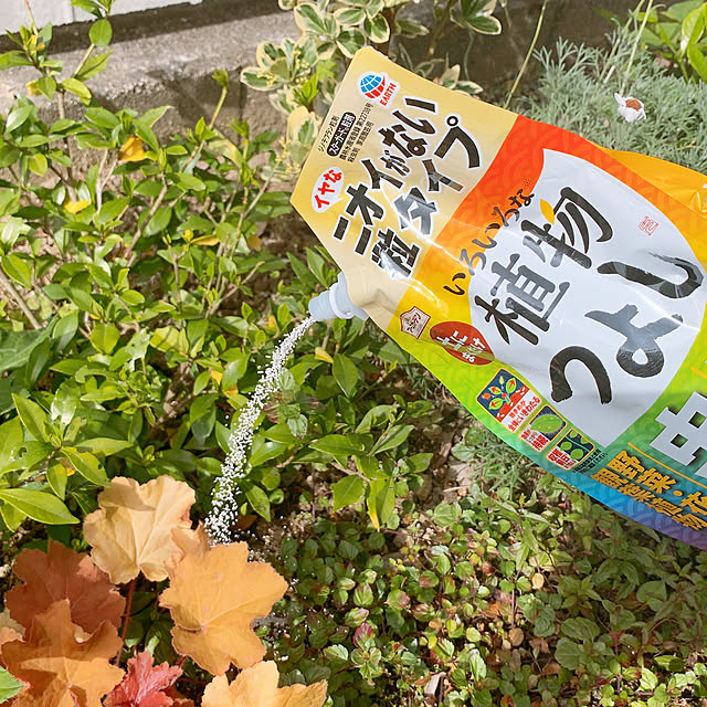 maronさんの実例写真