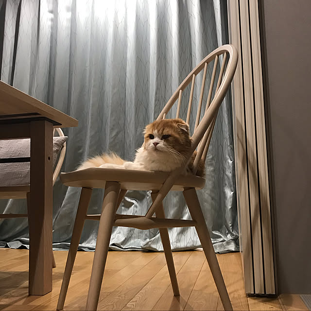 chachaharuloveさんの実例写真