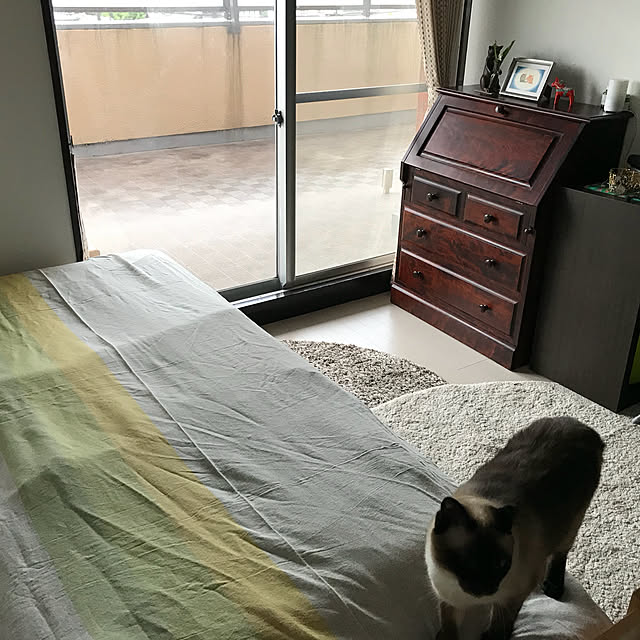 73さんの実例写真