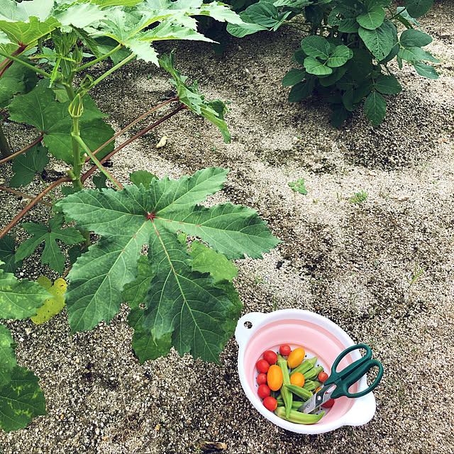 yunyumさんの実例写真