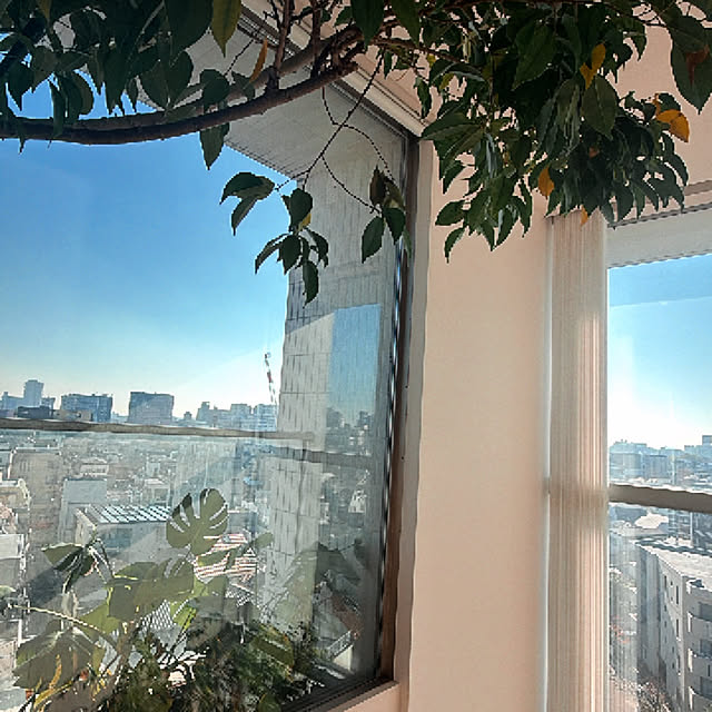 bassa_さんの実例写真