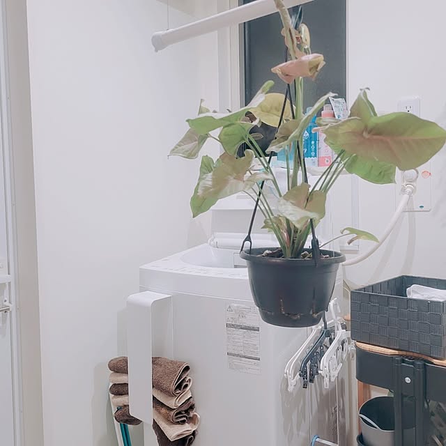 natuさんの実例写真