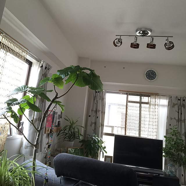 okikamさんの実例写真