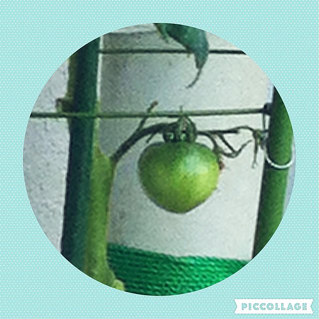 hanachanさんの実例写真