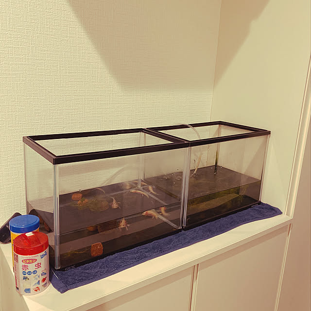 wakannaさんの実例写真