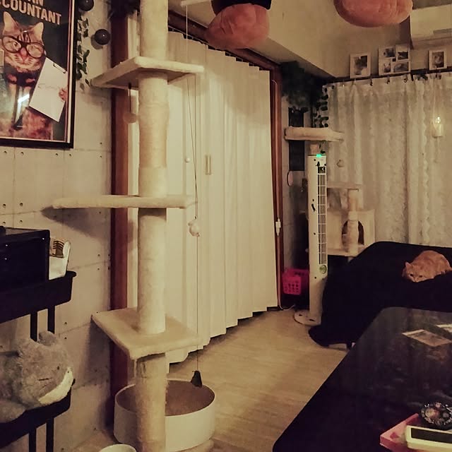 runaさんの部屋