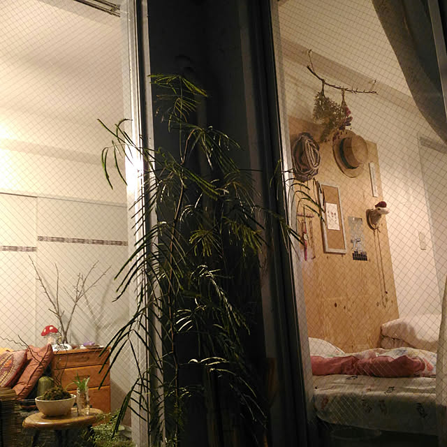 yuuu_ko1128さんの実例写真