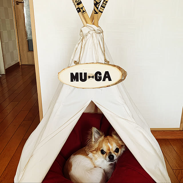 muga.2020さんの実例写真
