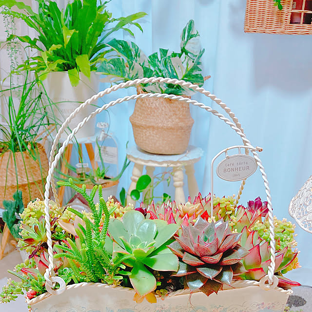 Hanakaさんの部屋