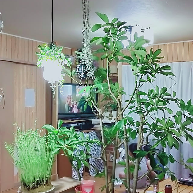 sakiさんの実例写真