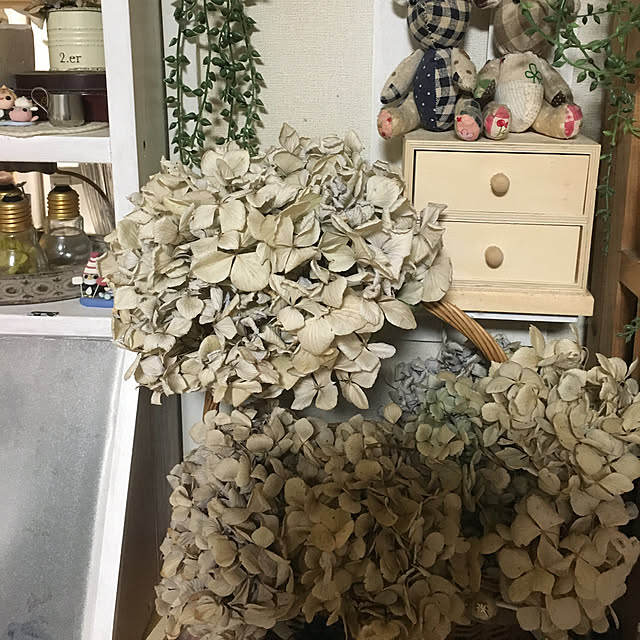 nenotokanoさんの実例写真