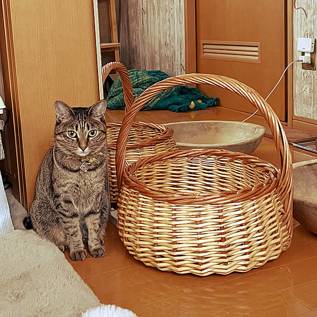 Mさんの実例写真