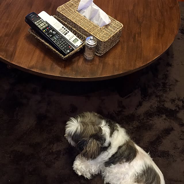 butachanさんの実例写真