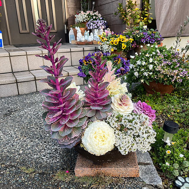 ritsukoさんの部屋