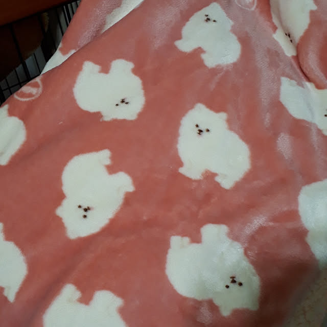 momoさんの実例写真