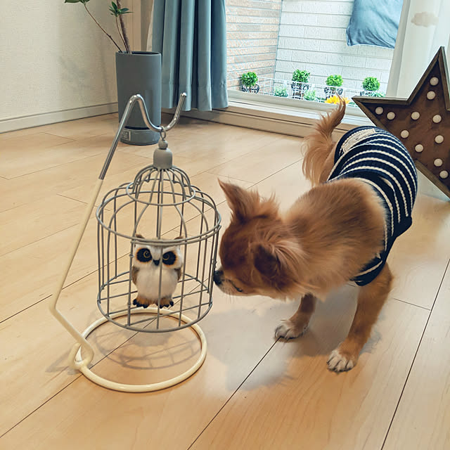 hikoさんの実例写真