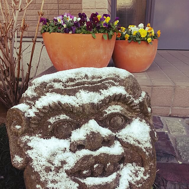 Kaccaさんの実例写真
