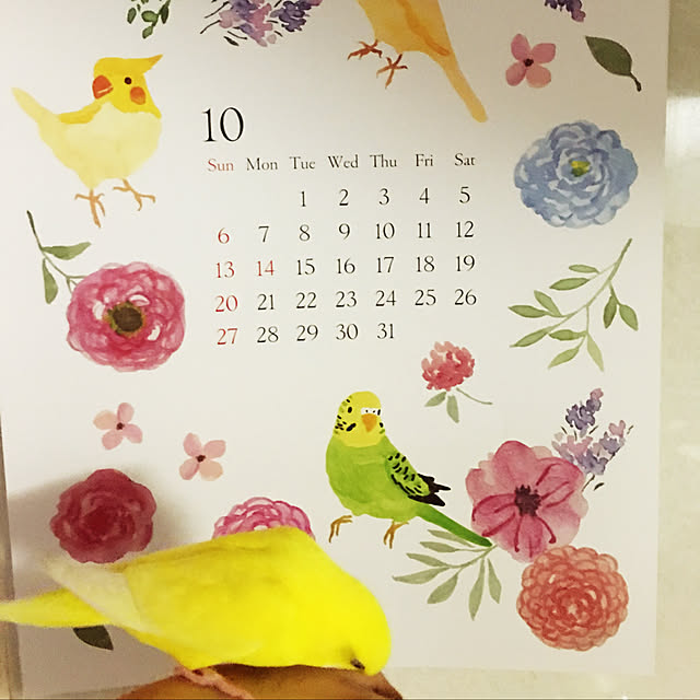 macaronさんの実例写真