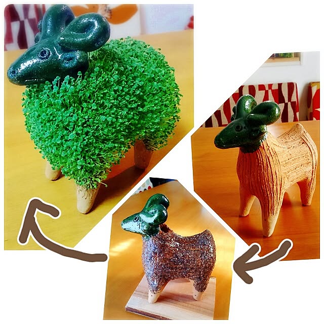 cactus0610さんの実例写真