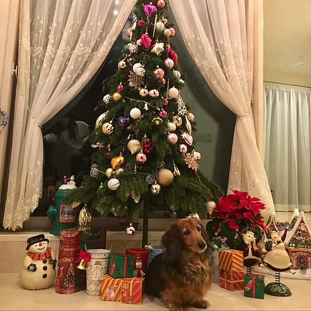 hisaminさんの実例写真