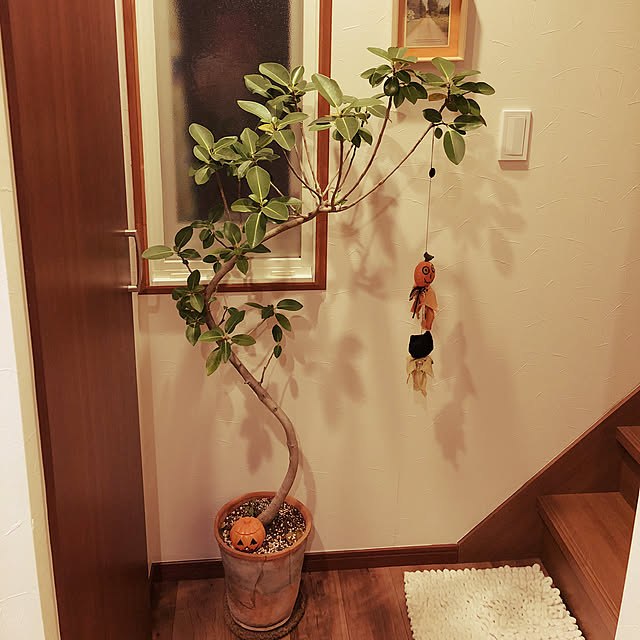 nakajiさんの実例写真