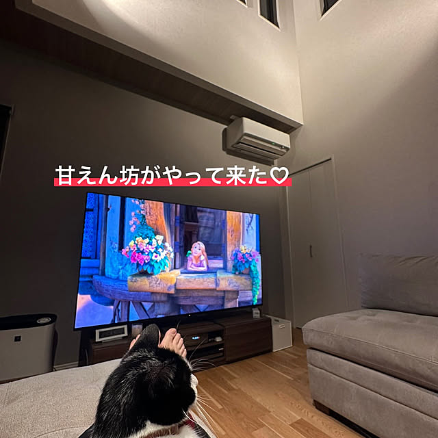 santar222さんの部屋