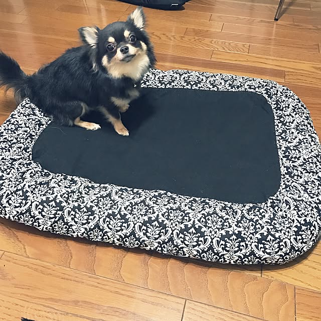 t-tさんの実例写真