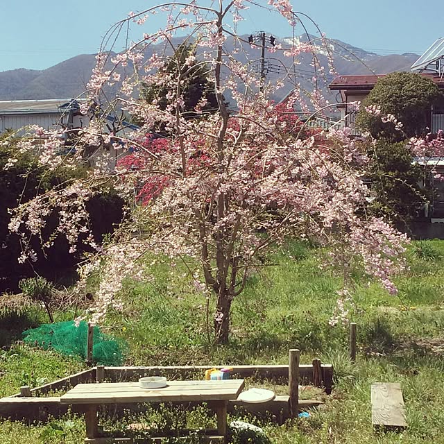 fukuさんの実例写真