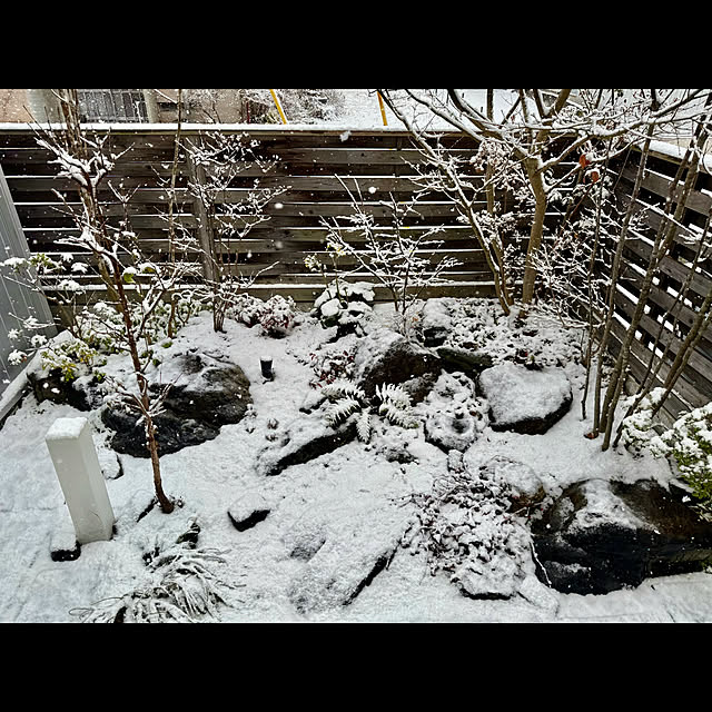 tamabaka1971さんの部屋
