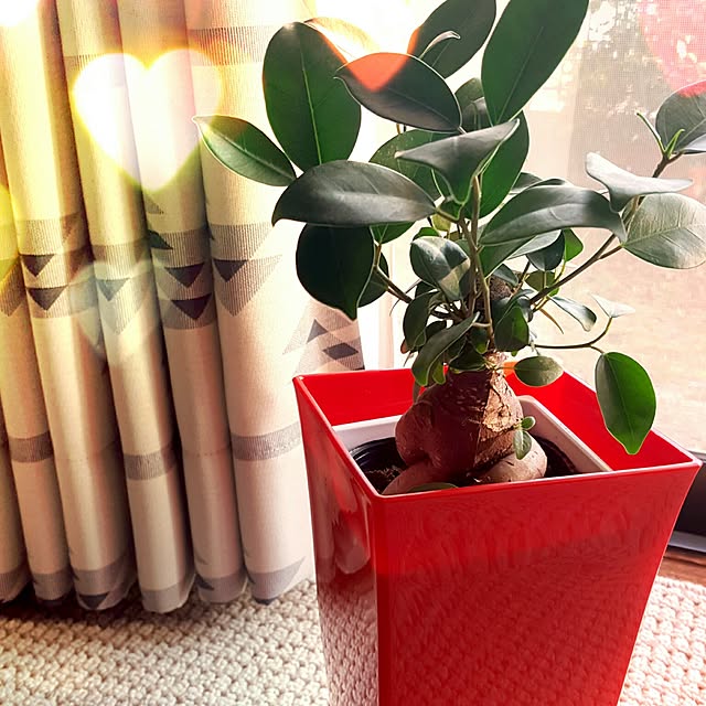 rhuさんの実例写真