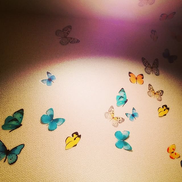Primaveraさんの実例写真