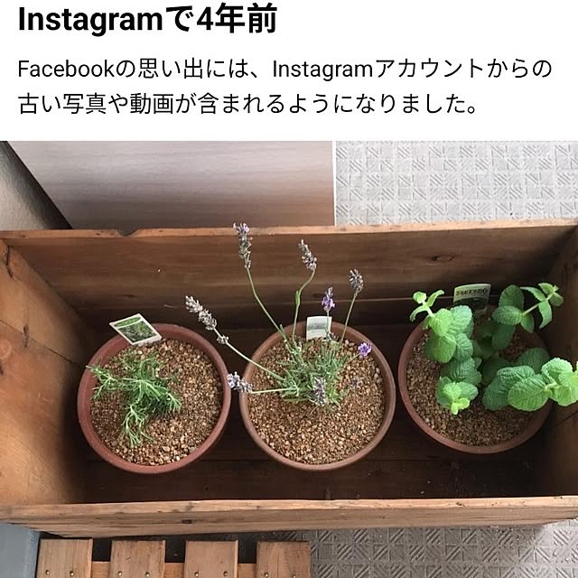mi-saさんの部屋
