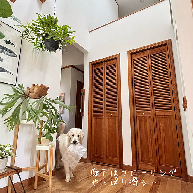 timtamさんの部屋