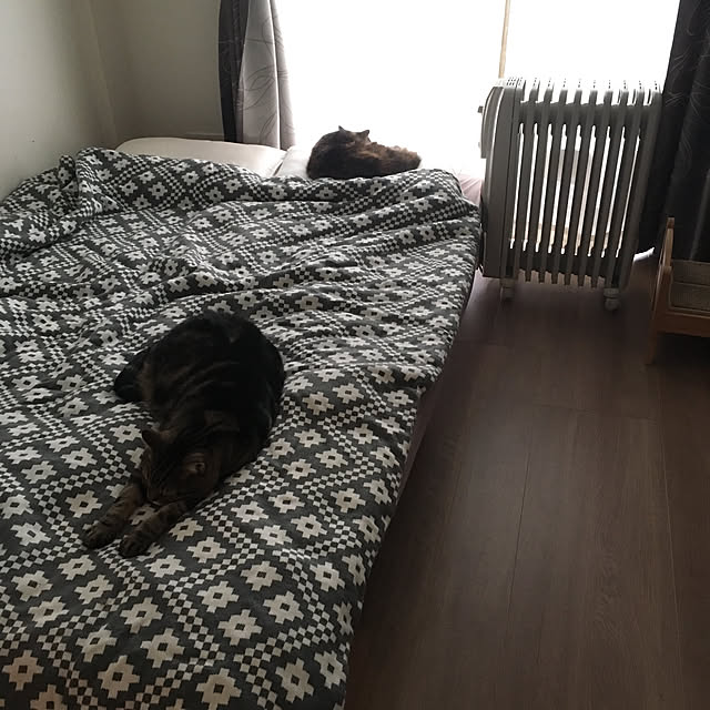mikomaruさんの実例写真