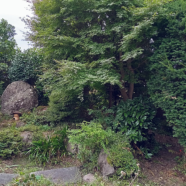 richildさんの実例写真