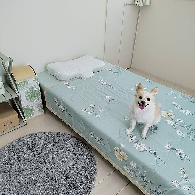 PAOさんの部屋
